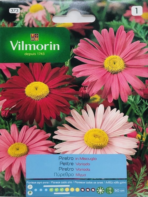 PIRETRO  GIGANTE VARIADO1