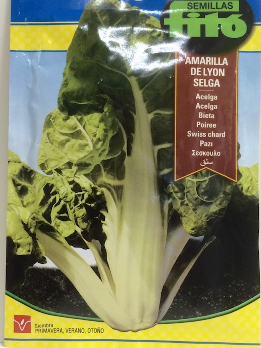 ACELGA AMARILLA DE LYON SELGA 10 Gramos.1