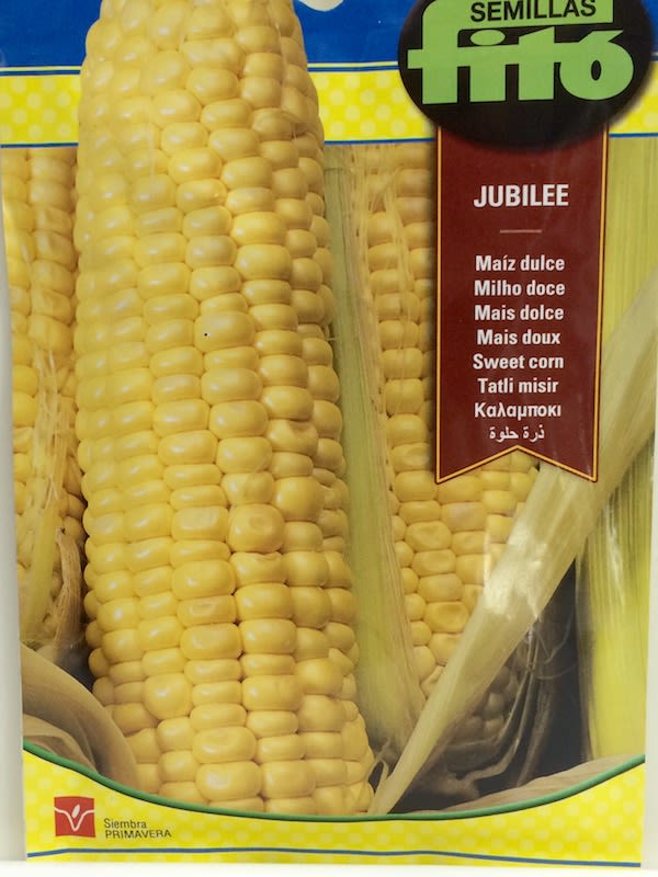MAIZ DULCE JUBILEE Sobre 10 Gramos1