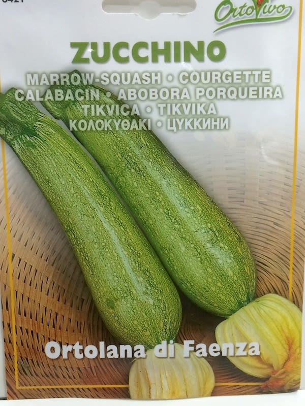 ZAPALLO ITALIANO 3 Gramos1
