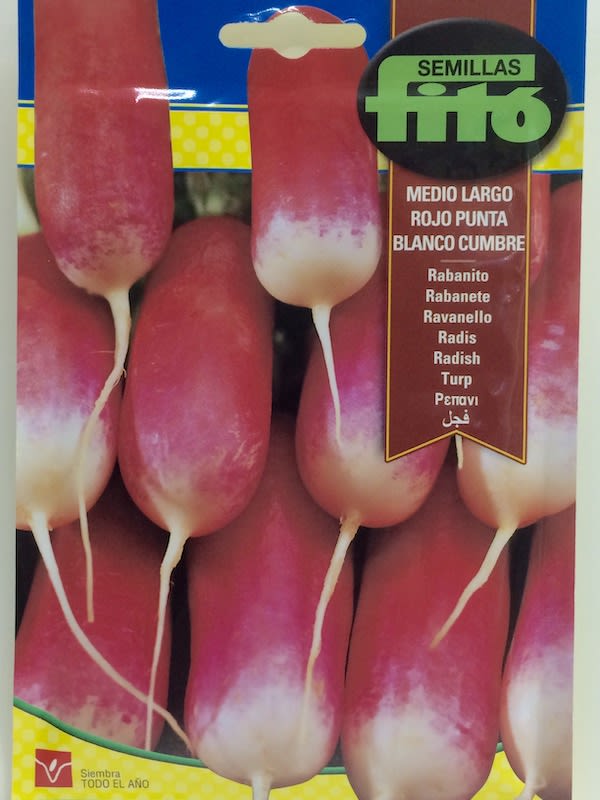 RABANITO LARGO ROJO PUNTA BLANCA CUMBRE 20 Gramos1