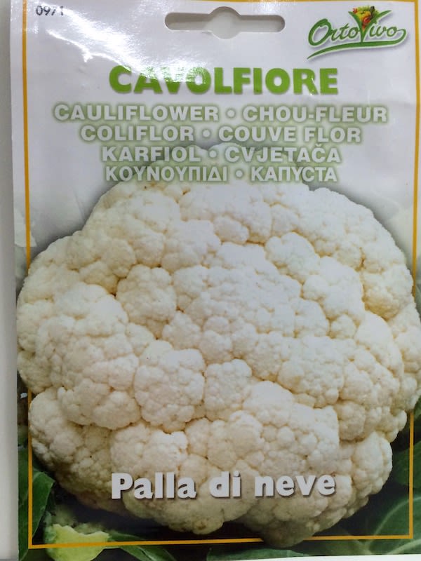 COLIFLOR PELOTA DE NIEVE1