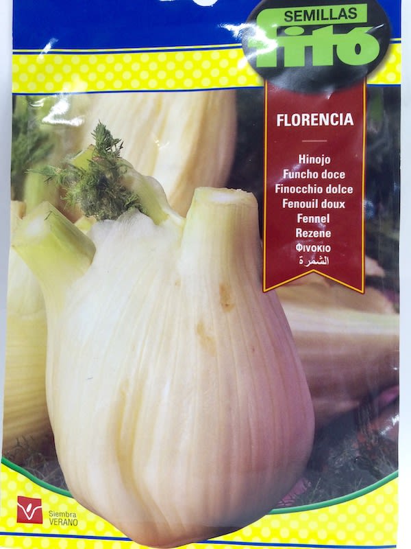 HINOJO FLORENCIA1