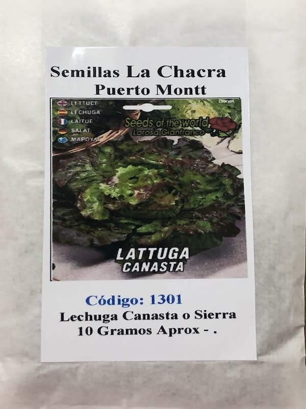 Lechuga la Canasta o Sierra 10 Gramos1