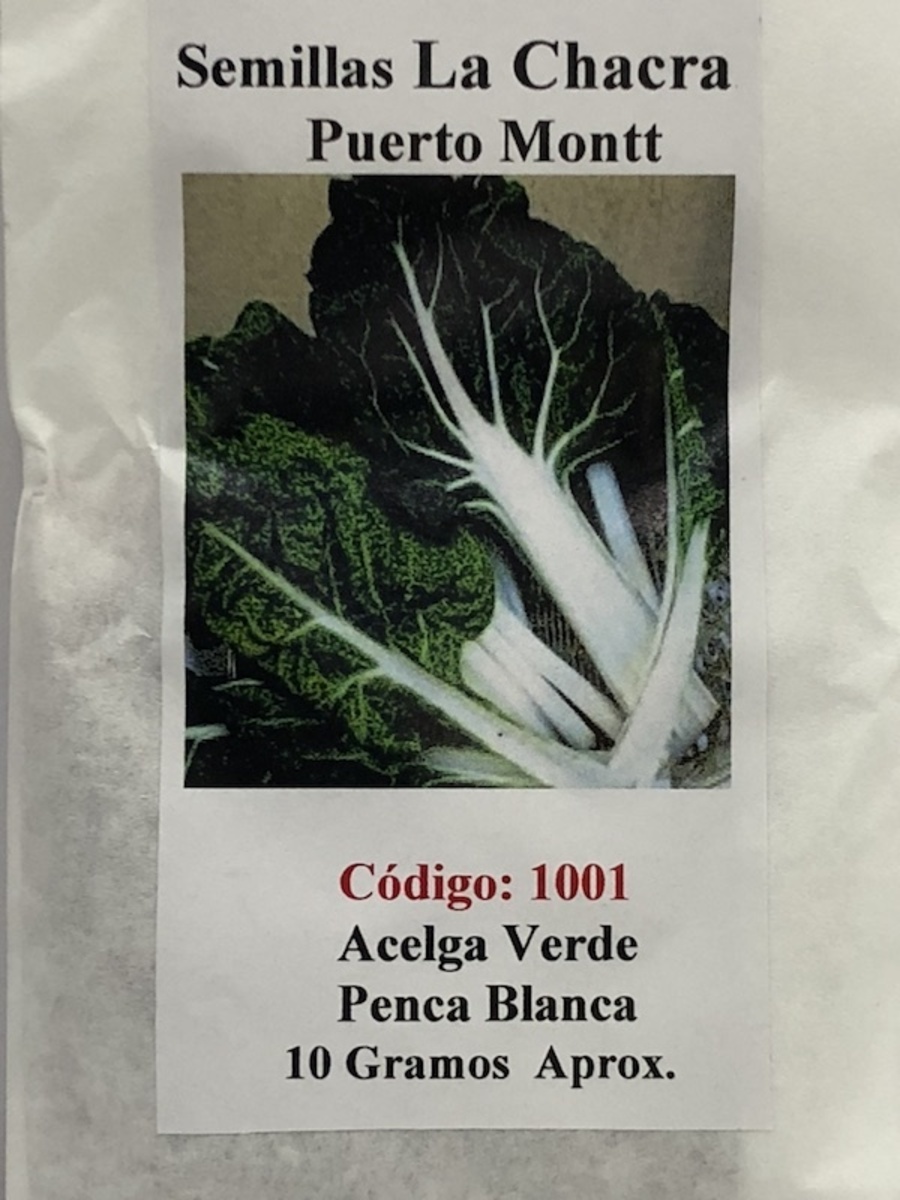 Acelga Verde Penca Blanca 10 Gramos1
