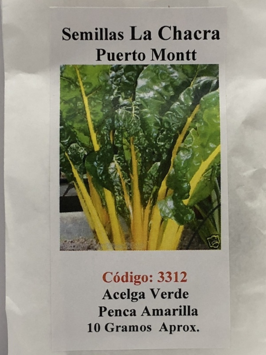 Acelga Verde Penca Amarilla 10 Gramos1