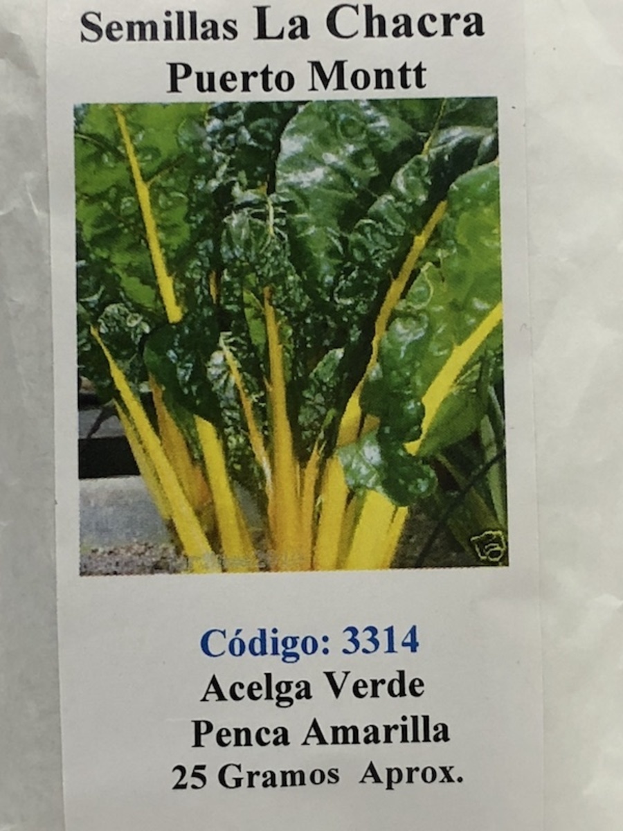 Acelga Verde 25 Gramos Penca Amarilla1