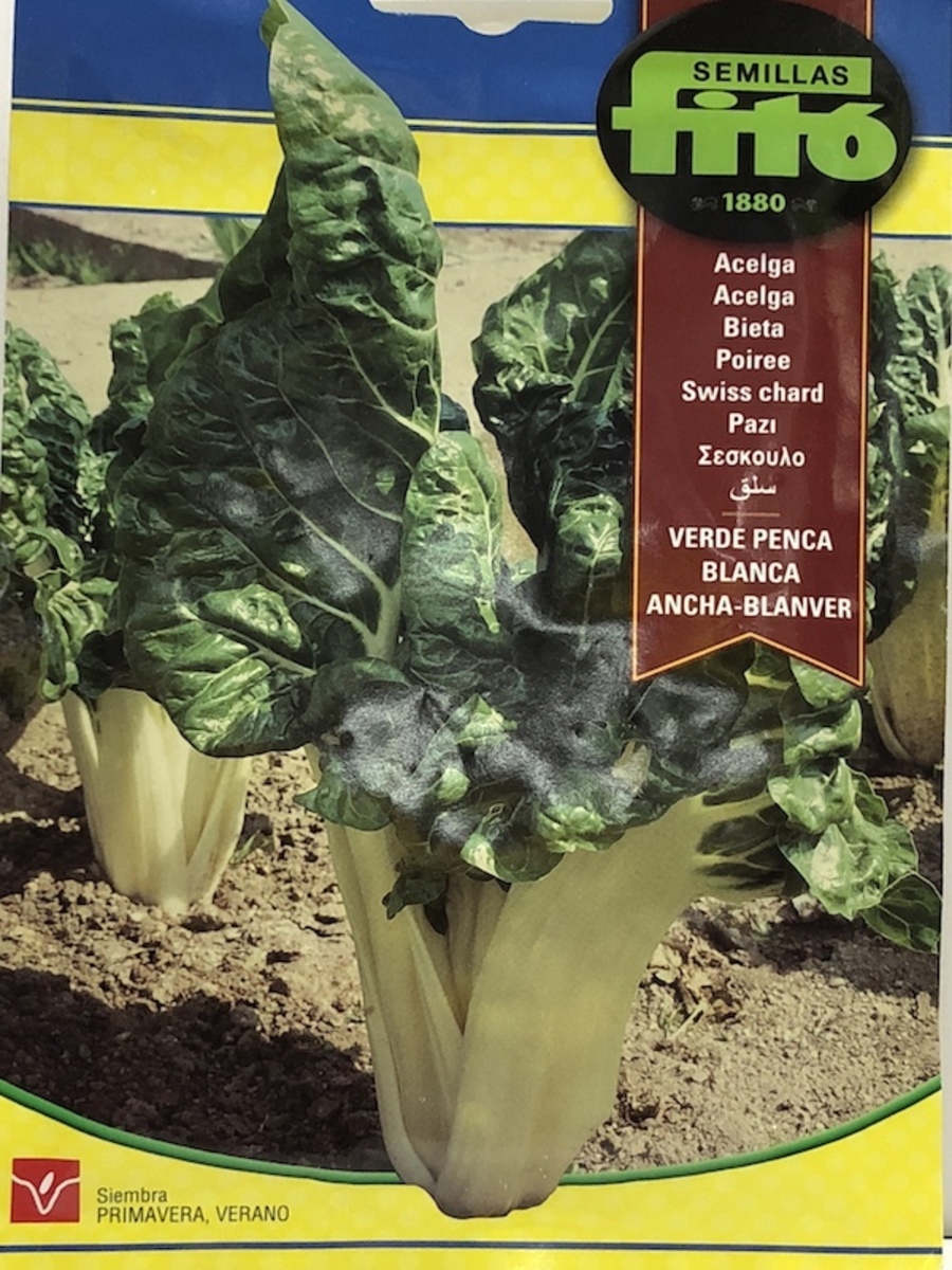 ACELGA VERDE PENCA BLANCA ANCHA BLANVER 10 Gramos1