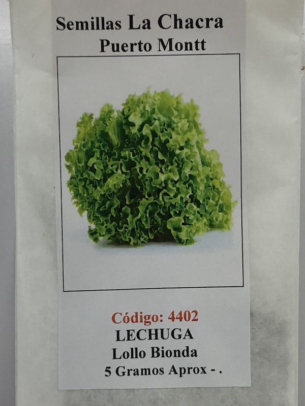 Lechuga Lollo Bionda 5 Gramos1