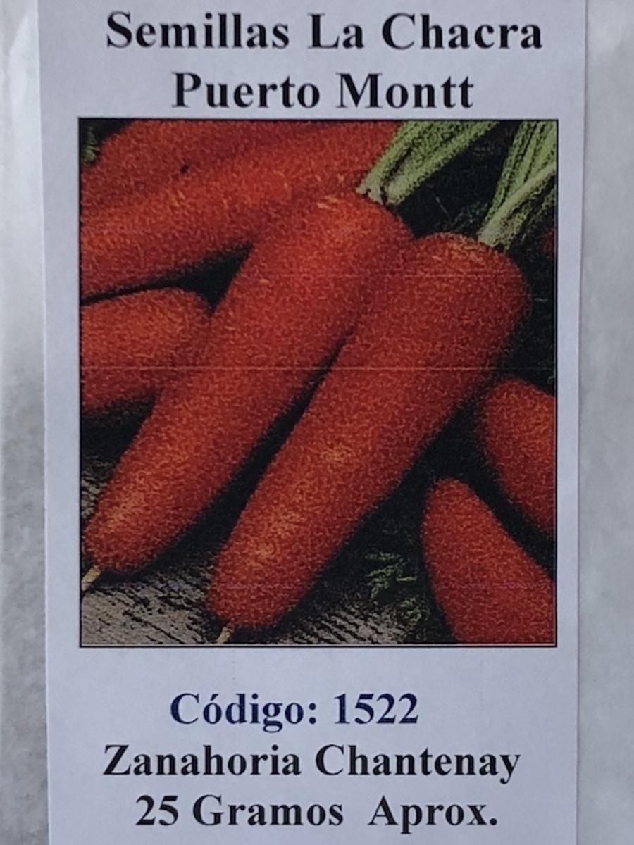Zanahoria Royal Chantenay 25 Gramos1