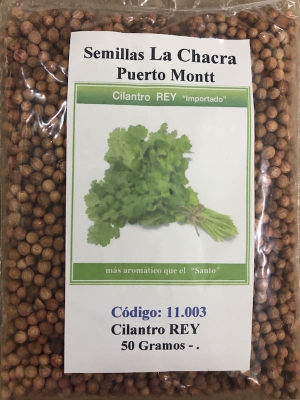 Cilantro Rey ( El más Aromático) 50 Gramos1