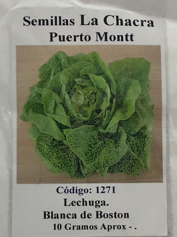 Lechuga Boston 10 Gramos1