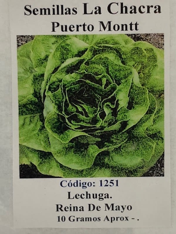 LECHUGA REINA DE MAYO 10 Gramos1