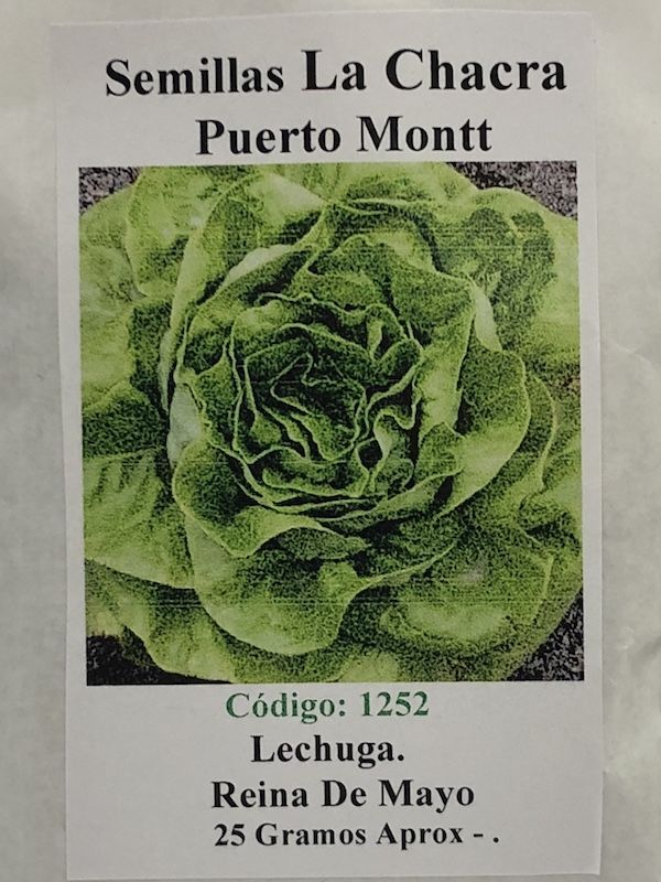 LECHUGA REINA DE MAYO 25 Gramos1