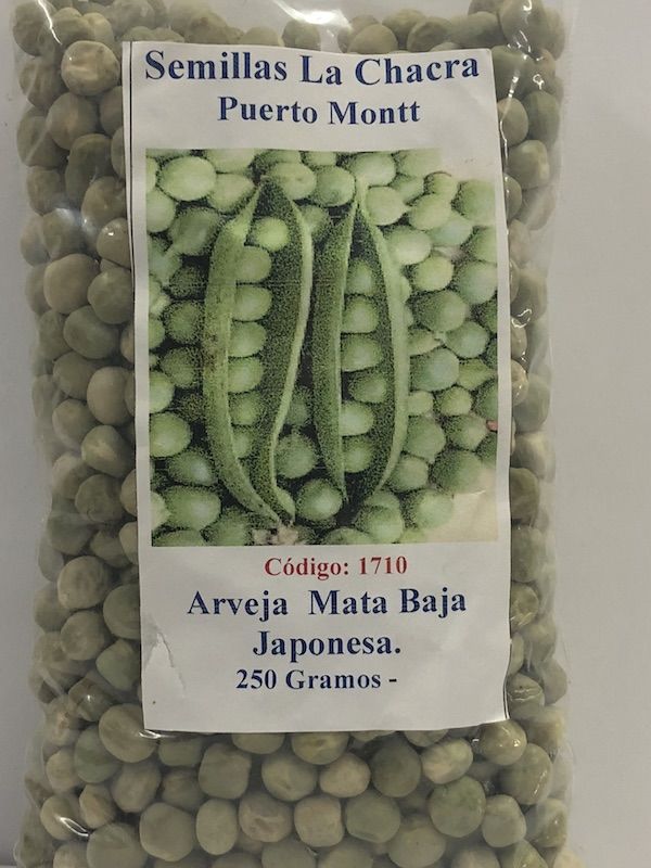 Arveja Mata Japonesa 250 GRAMOS1