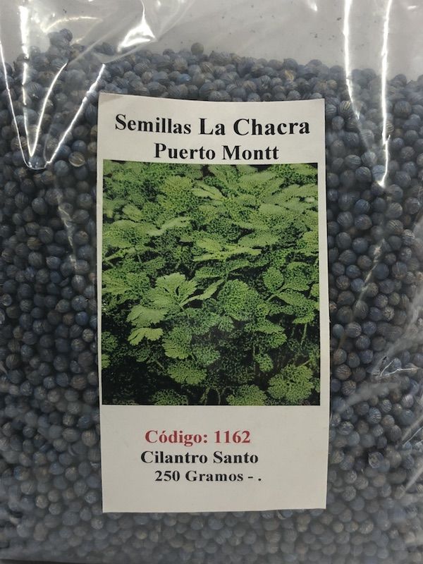 Cilantro Santo 250 Gramos1