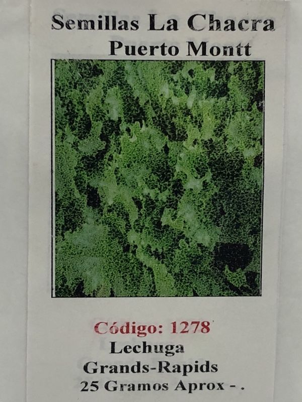 Lechuga Grands-Rapids 25 Gramos1