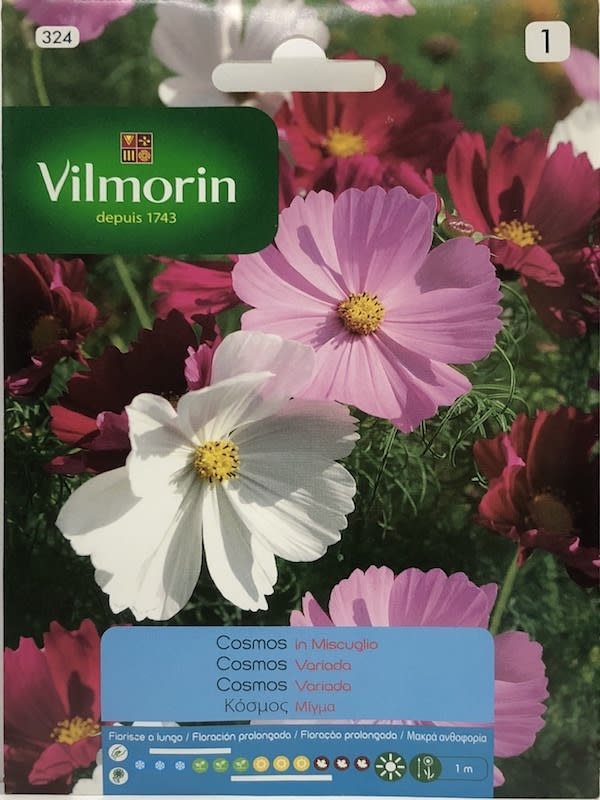 COSMOS VARIADO1