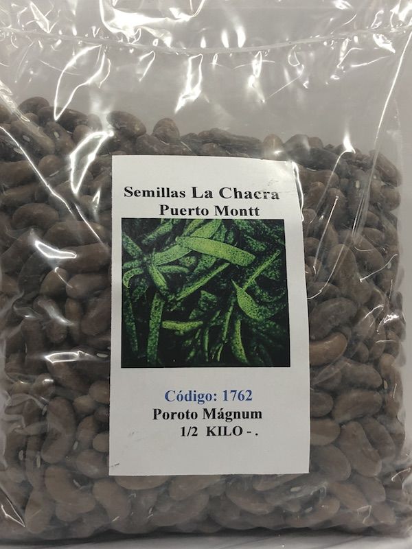 Poroto Magnun 500 GRAMOS1