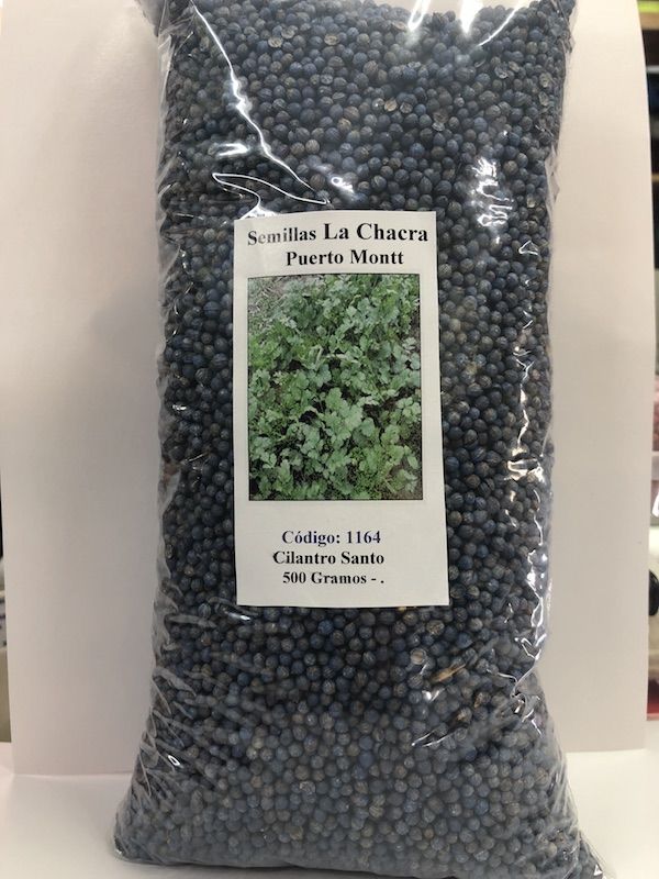 Cilantro Santo 500 Gramos1