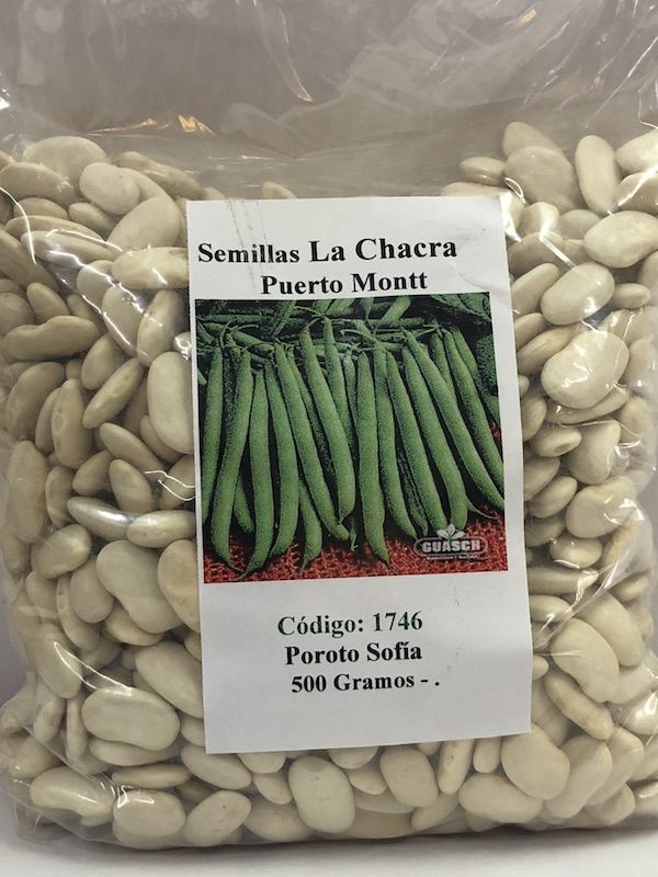 Poroto Verde Sofía  500 GRAMOS1