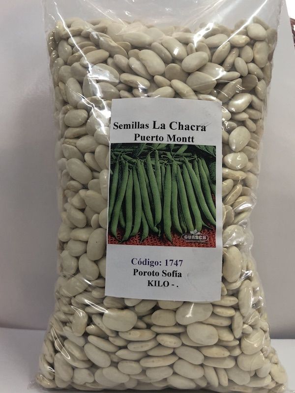 Poroto Verde Sofía  KILO1