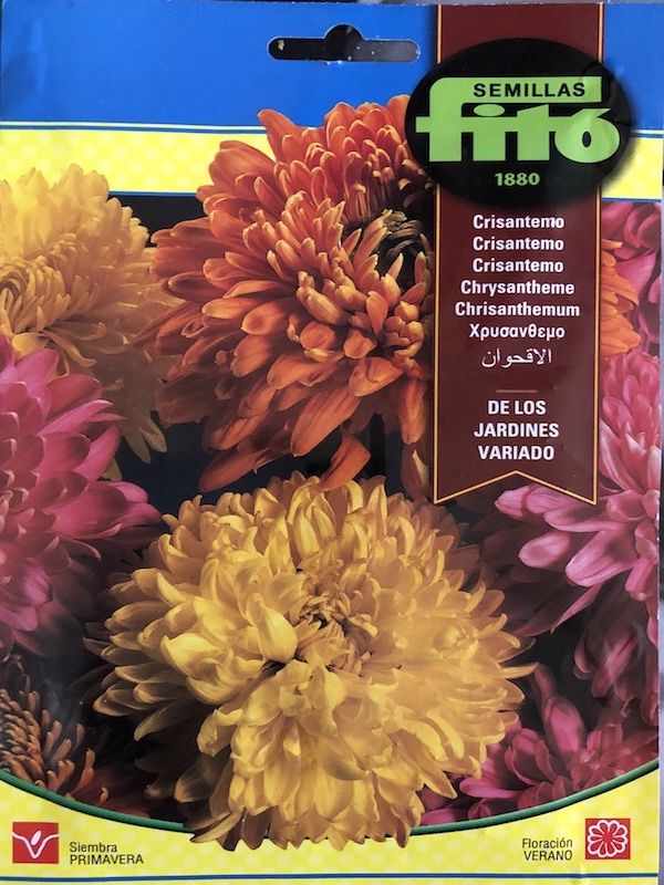 CRISANTEMOS DE LOS JARDINES, VARIADO1