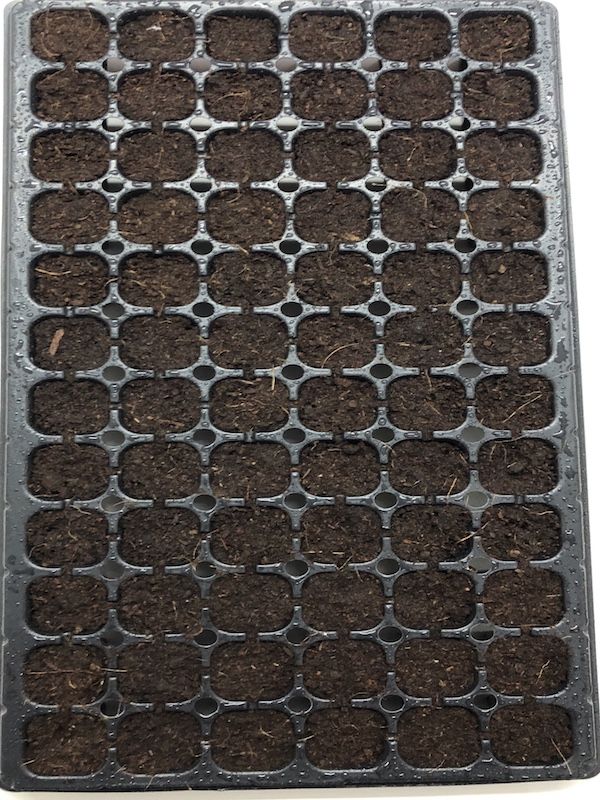 Almaciguera Bandeja 72 CV2