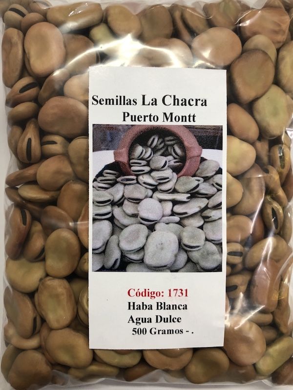 Habas Blancas Agua Dulce  500 Gramos1