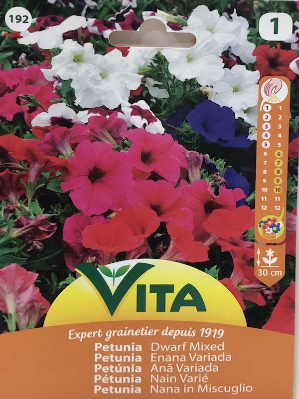 PETUNIA ENANA COLORES VARIADOS1