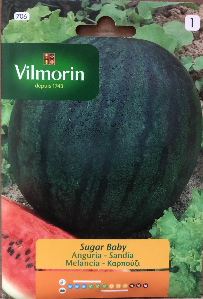 SANDIA Vilmorin Baby Sugar 3 Gramos1