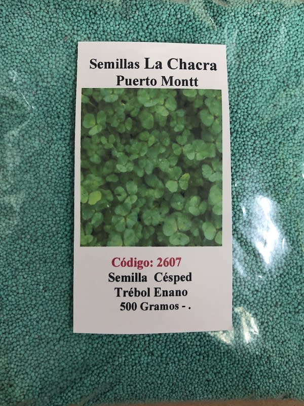 Trébol Enano  500 Gramos1
