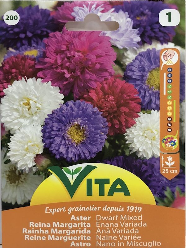 REINA MARGARITA VITA 0.8 GRAMOS1