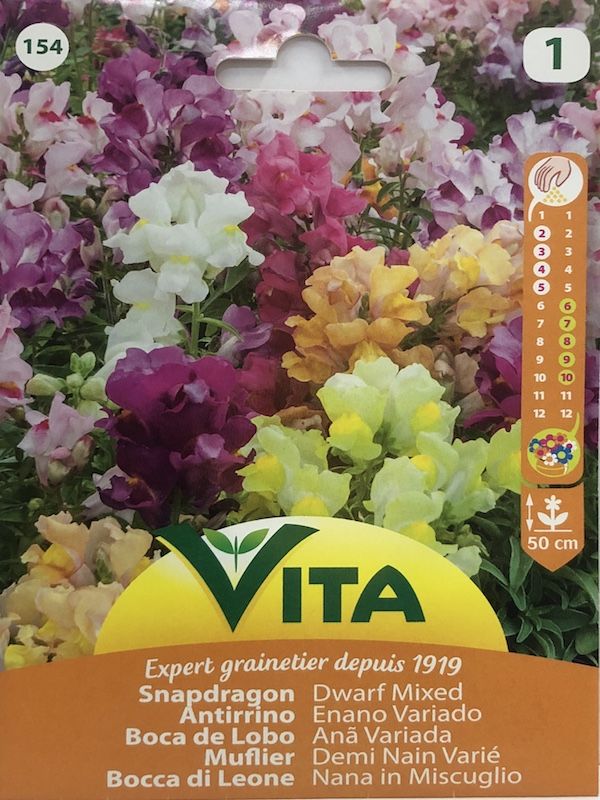 ANTIRRINO PERRITOS ENANO1