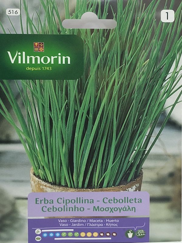CIBOULETTE VILMORIN1