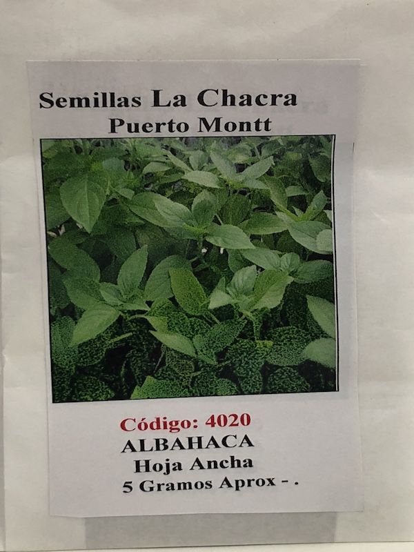 Albahaca Hoja Ancha sobre 5 Gramos1