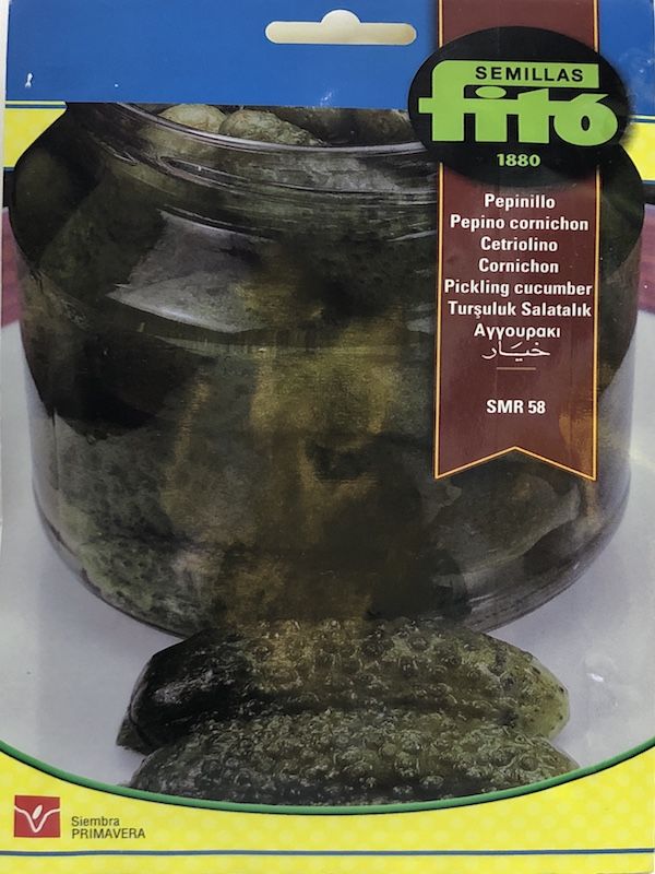 PEPINILLO SMR-58 (CORNICHON)1