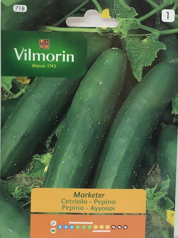 PEPINO ENSALADAS MARKETER 3 GRAMOS1