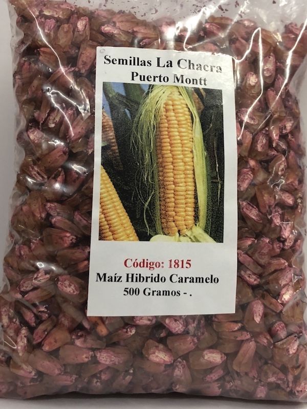 Caramelo Maíz Híbrido dulce de Mesa. 500 Gramos1