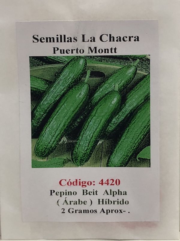 Pepino Arabe Híbrido 2 Gramos1