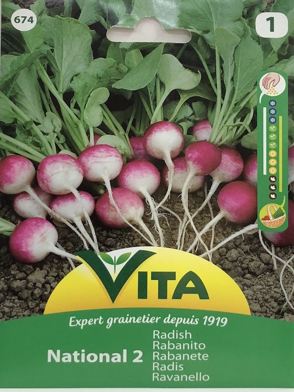 RABANO NATIONAL 2     5 GRAMOS1