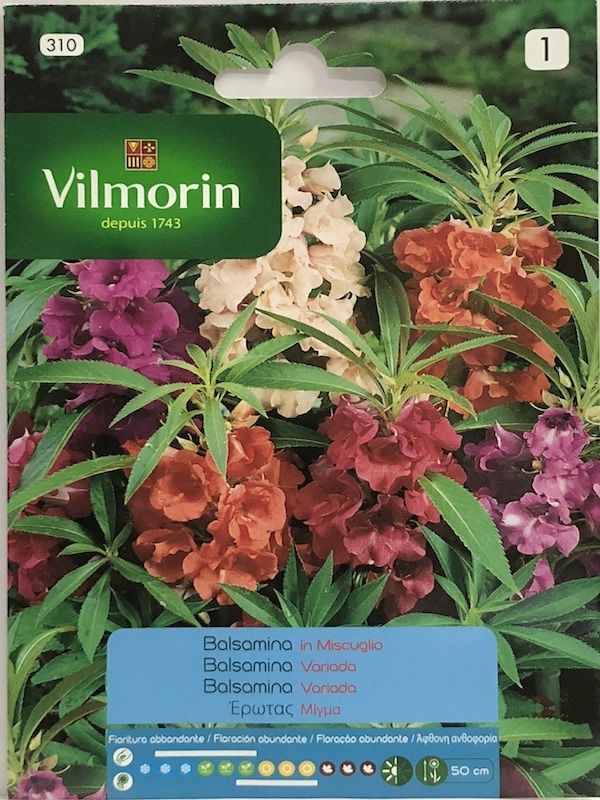Balsamina Colores Variados1