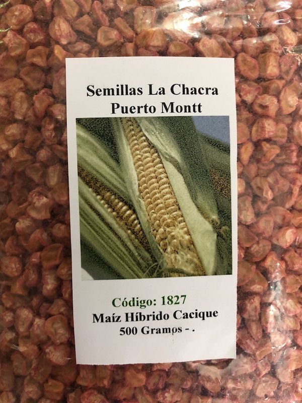 Maiz Híbrido Cacique ( Dulce de mesa)  500 Gramos1