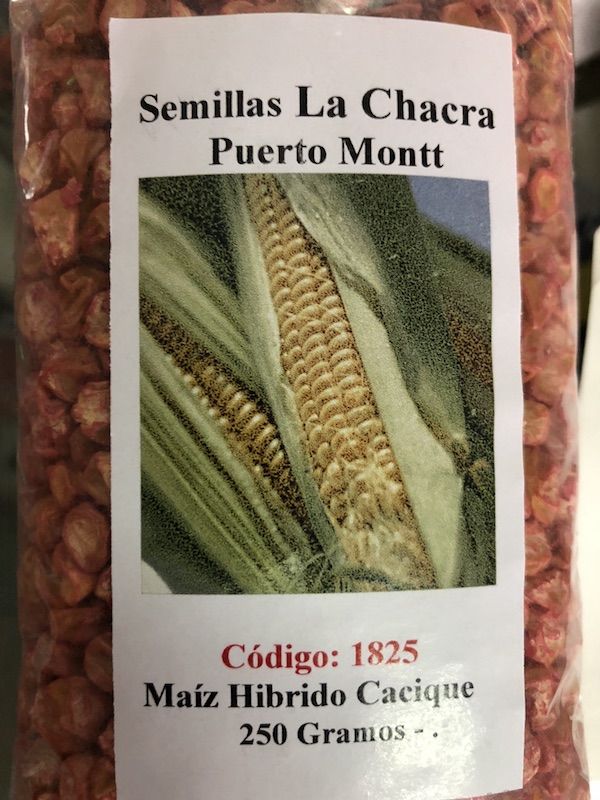 Maiz Híbrido Cacique ( Dulce de mesa) 250 Gramos.1