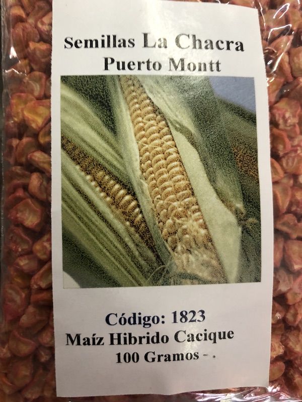 Maiz Híbrido Cacique ( Dulce de mesa) 100 Gramos1