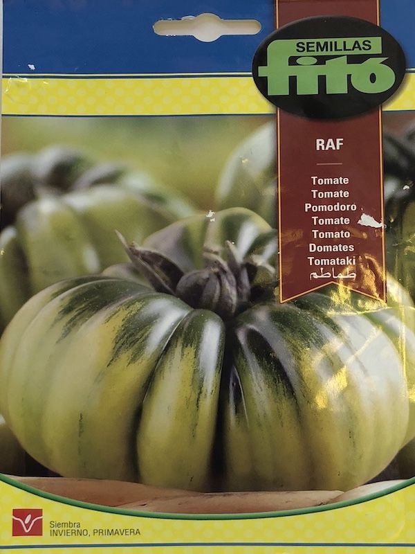 TOMATE RAFF1