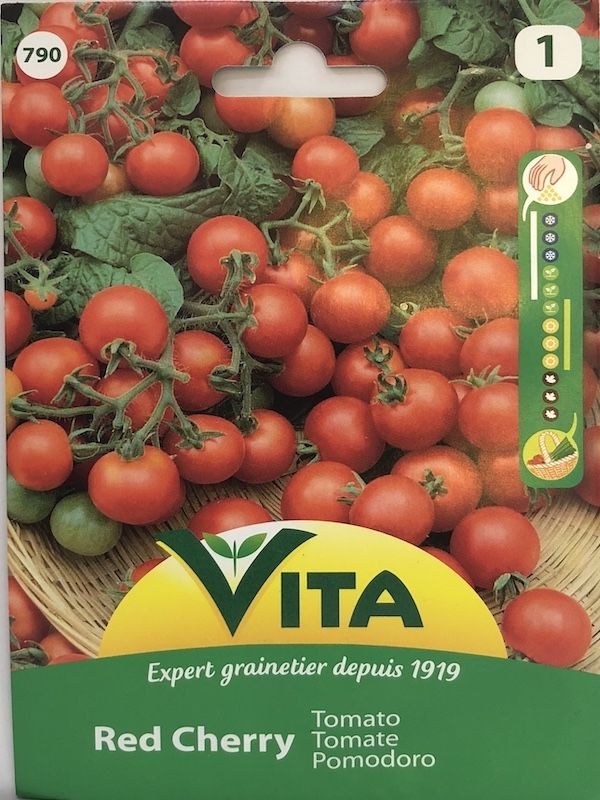 TOMATE CEREZA RED CHERRY1