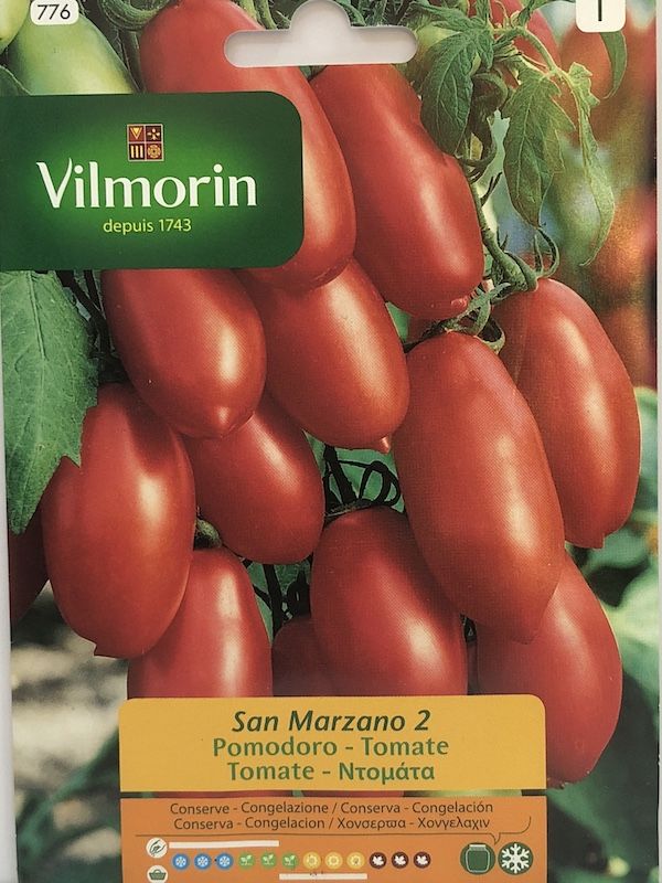 TOMATE  Vilmorin SAN MARZANO1