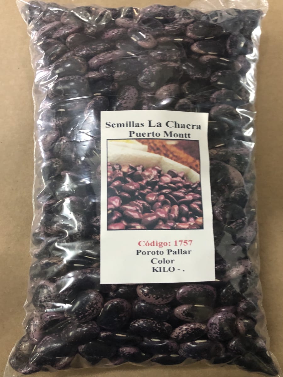 Poroto Pallar Color Kilo1