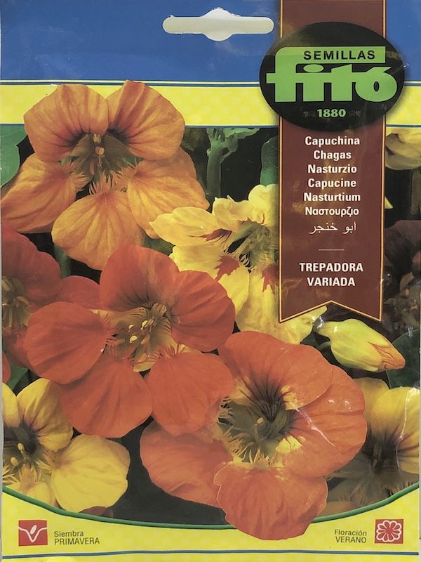 CAPUCHINA TREPADORA VARIADA1